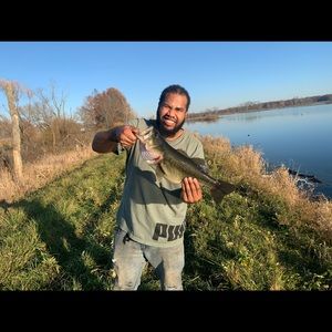 Meet your Posher, Mike